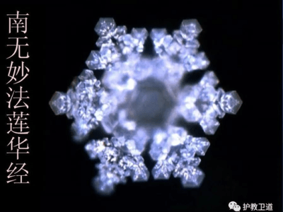 合集｜“水知道答案”批判合集（2022.11.10更新）