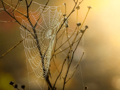 合集｜“耶青”提醒合集（2022.05.24更新）